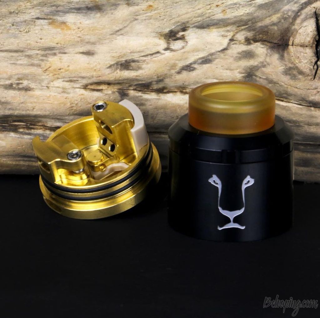 Kaees_Aladdin_RDA_6.jpg