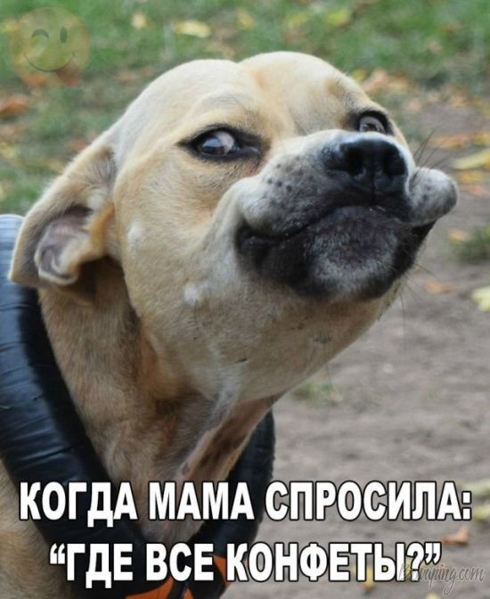 original.jpg