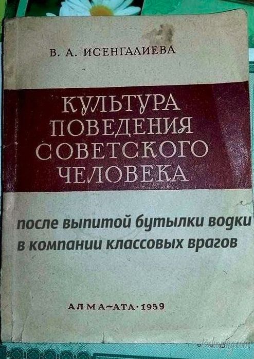 original (3).jpg