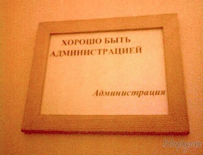 original.jpg