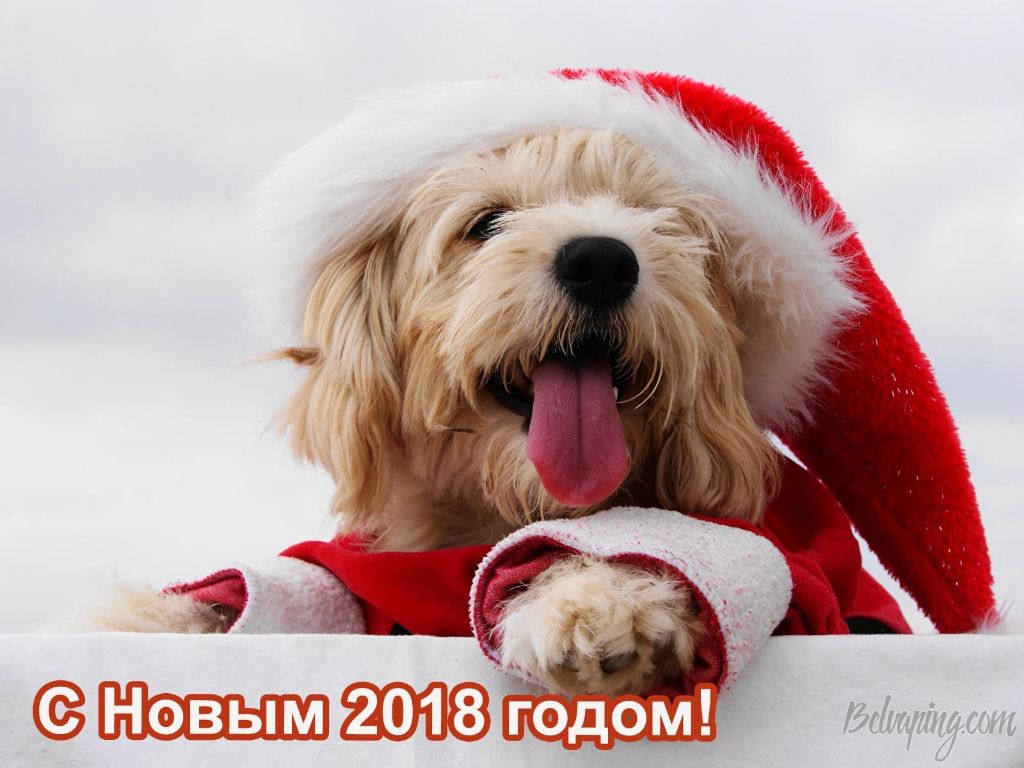2214_01.jpg
