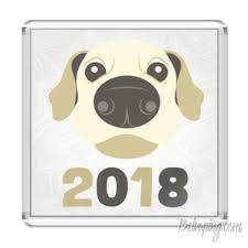 dog1.jpg
