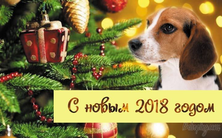 kartinki-pro-novyj-2018-god-12.jpg