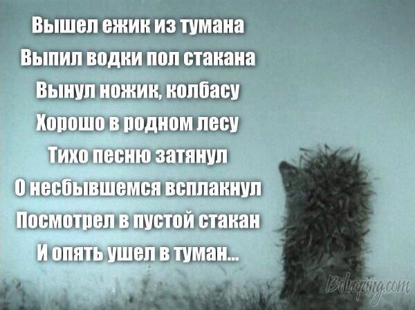 original (9).jpg