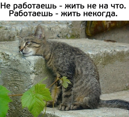 original.png