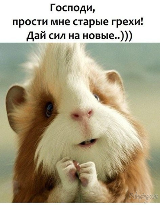 original (2).png