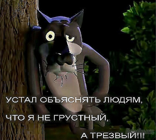 original (4).png