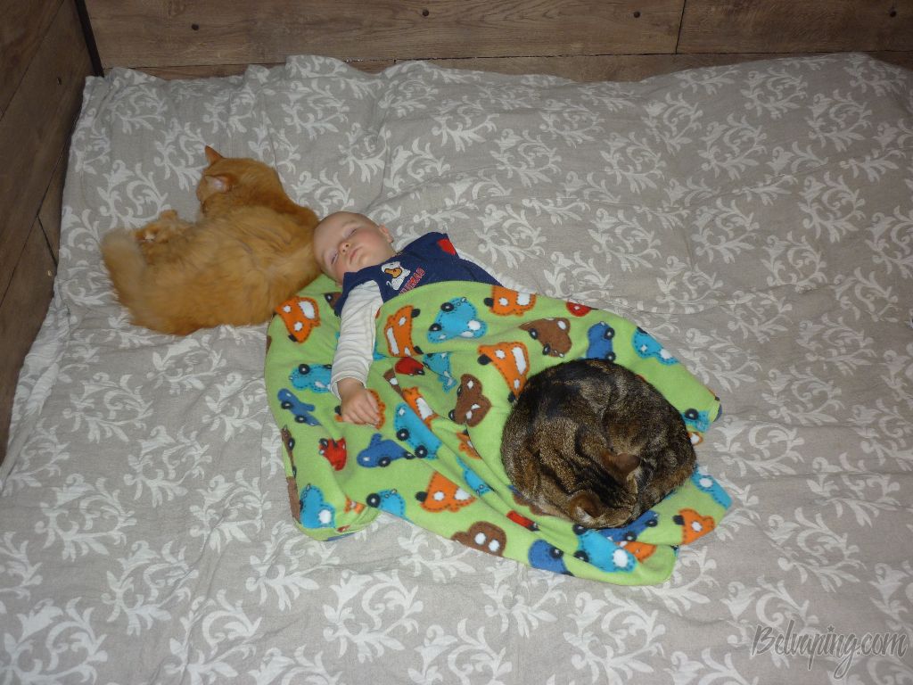 P1090447.JPG