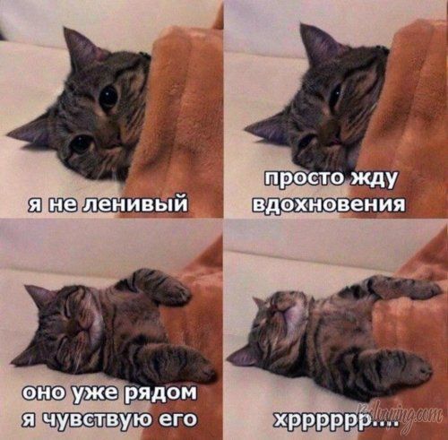 original (8).jpg