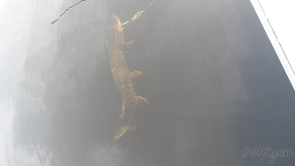 20180416_161459.jpg