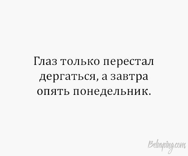 original (1).png