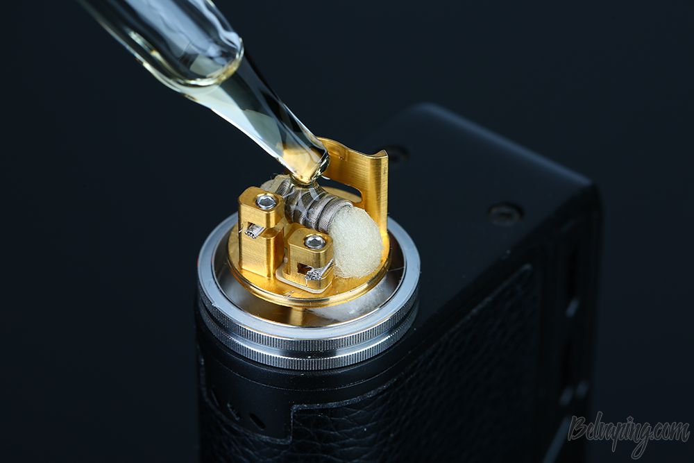 KAEES_Solomon_2_RTA_7.jpg