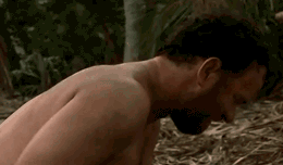 1434048599129596317.gif