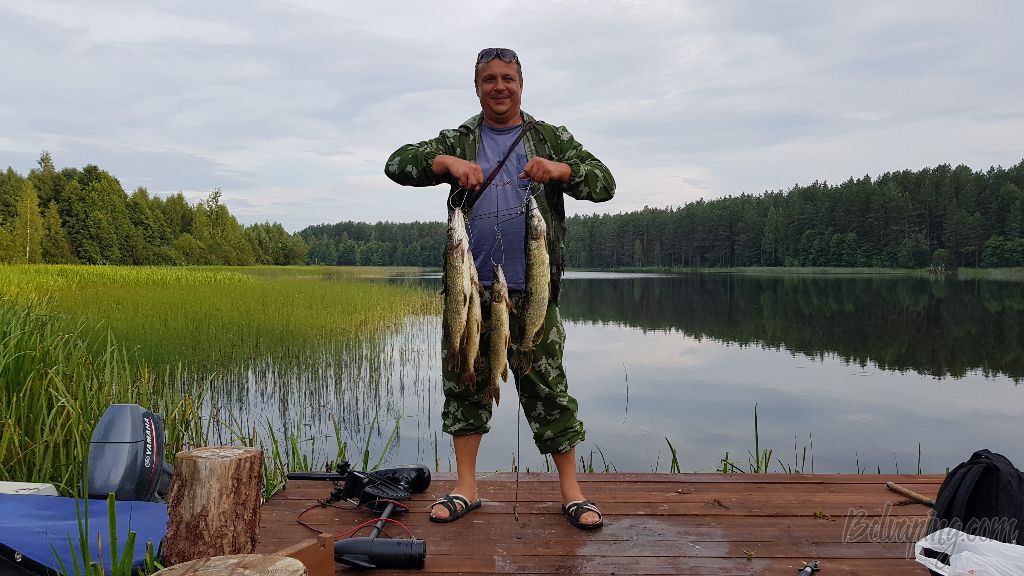 20180722_201037.jpg