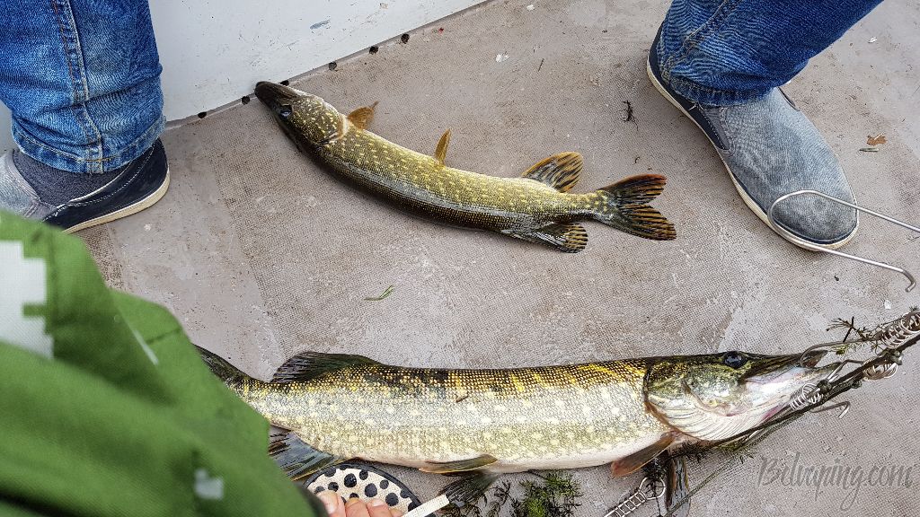 20180722_095726.jpg