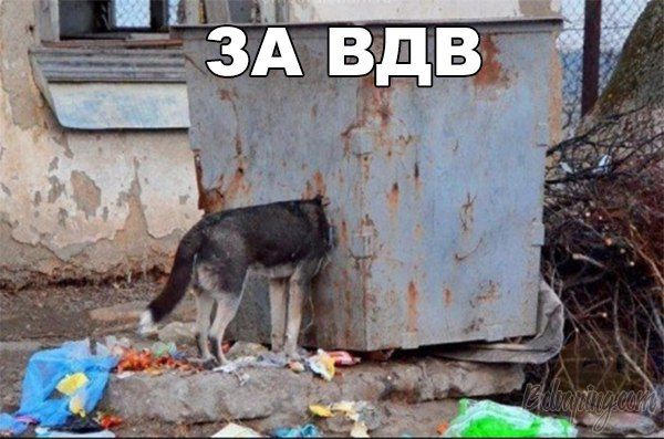 За ВДВ.jpg