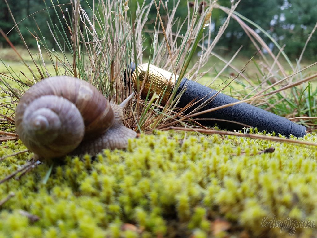 20180827_142521.jpg