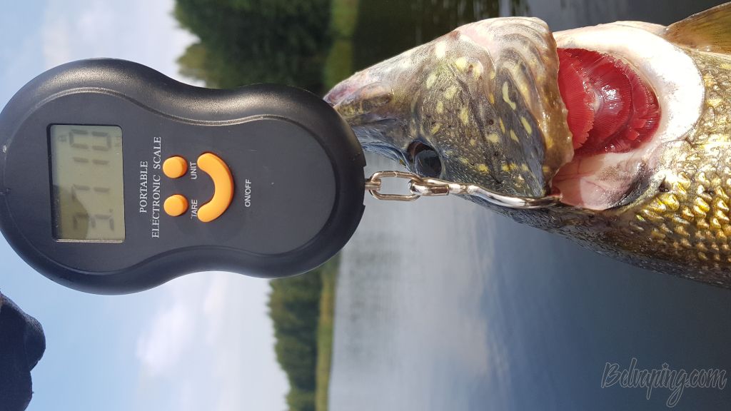 20180902_165559.jpg