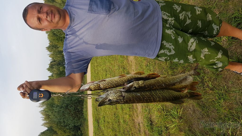 20180902_173543.jpg