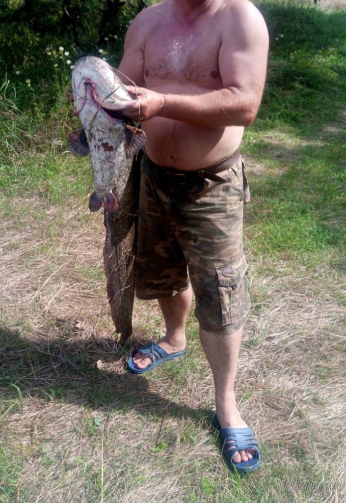 20180905_172239.jpg