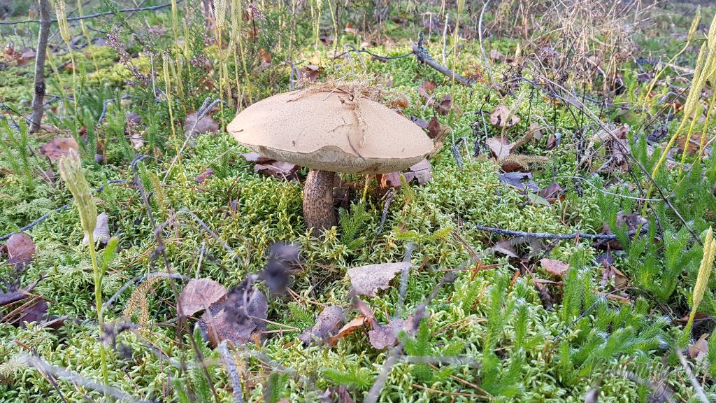 20181014_162312.jpg