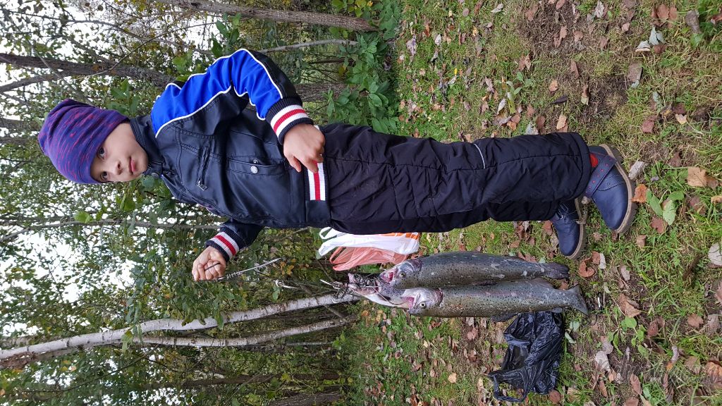 20180930_182043.jpg