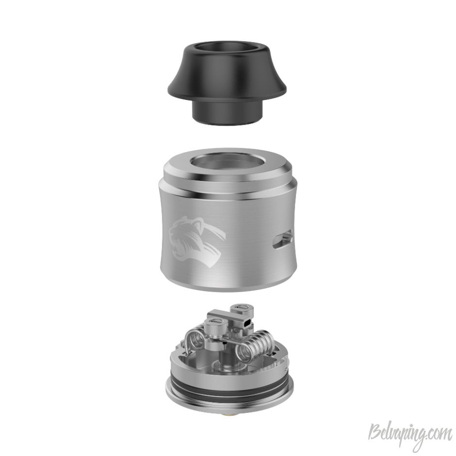 OBS Cheetah III RDA 6.jpg