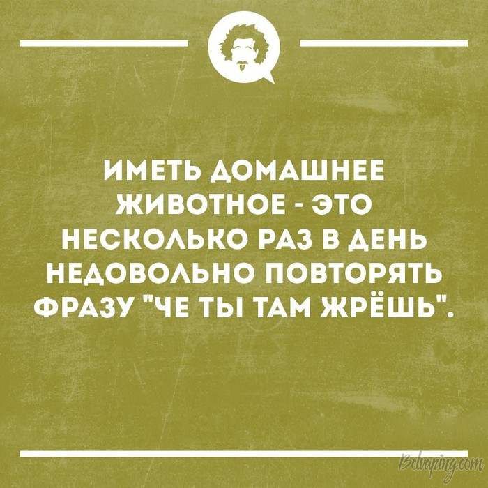 original (11).jpg