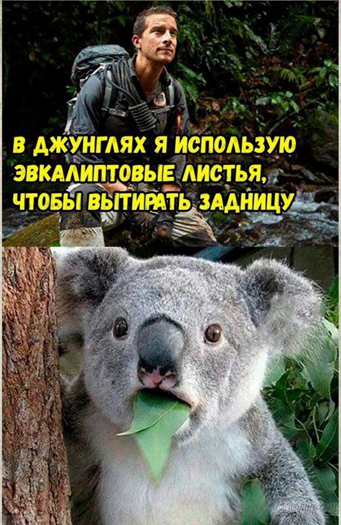 original_1545129224478.jpg
