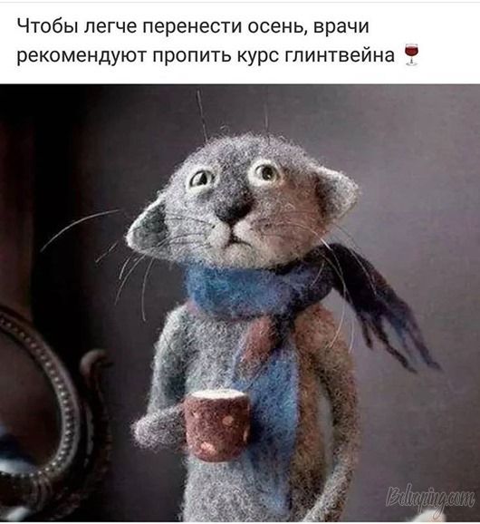 original (1).jpg
