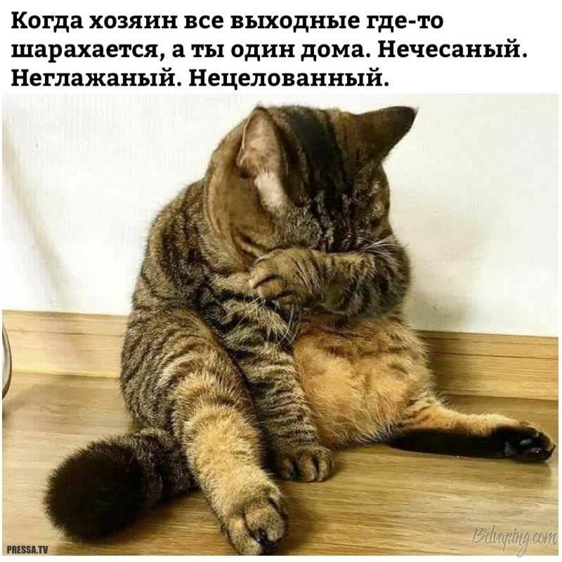 original_1546852017516.jpeg