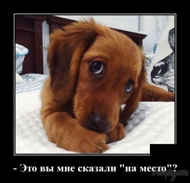 original_1549620788545.jpg