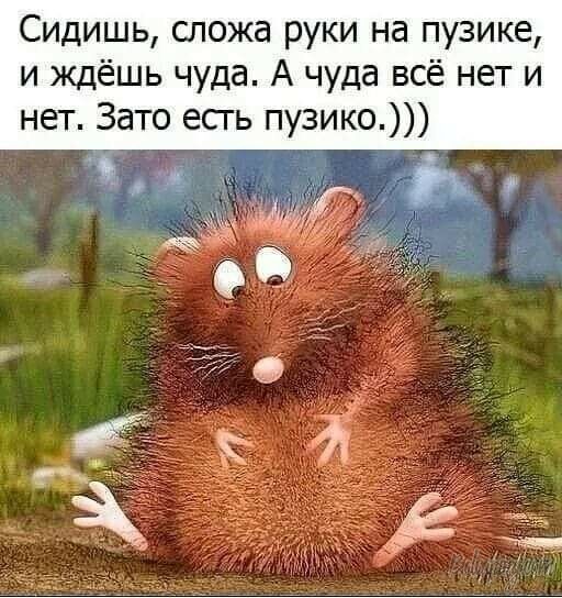 original_1550444793036.jpg