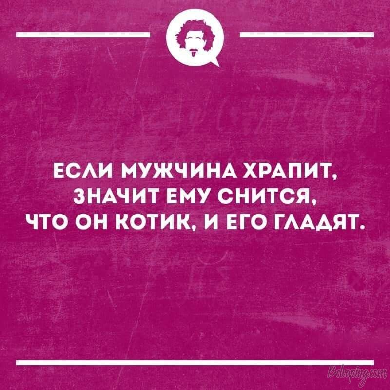 original_1550623151428.jpeg