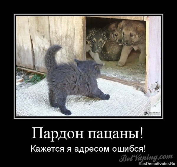 9545ab64a52cb847a708c09c9c2c0a0530c7a22c_1.jpg