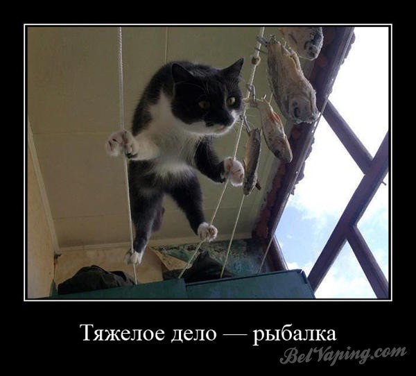 4fdf8976170799ba7b51b944231b265ed8600dd6_1.jpg