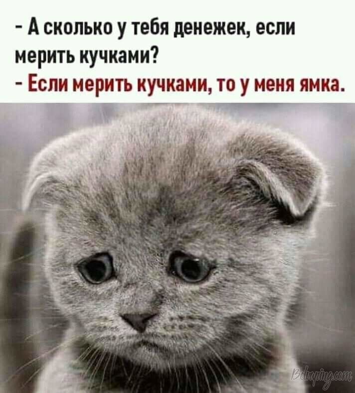original (2).jpg