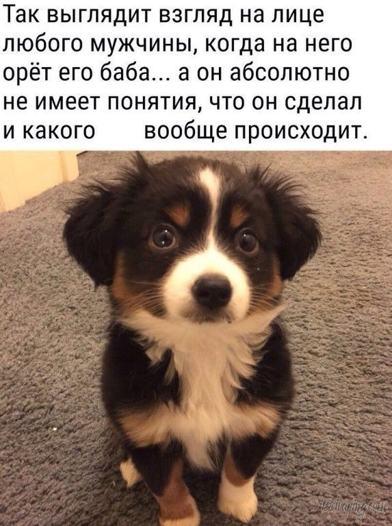 original (3).jpeg