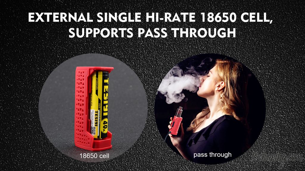Teslacigs WYE 2 86W Kit 9.jpg