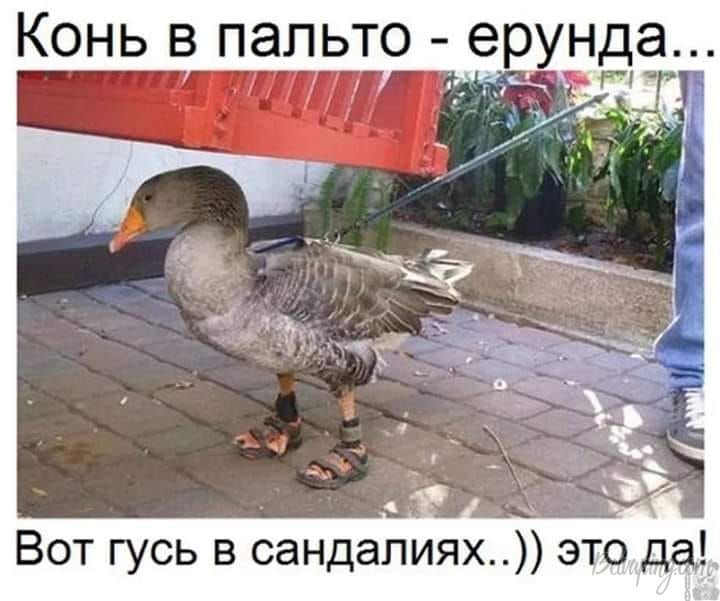 original (8).jpg