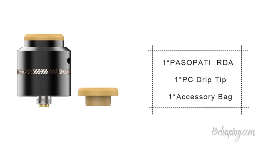Acevape Pasopati RDA 9.jpg