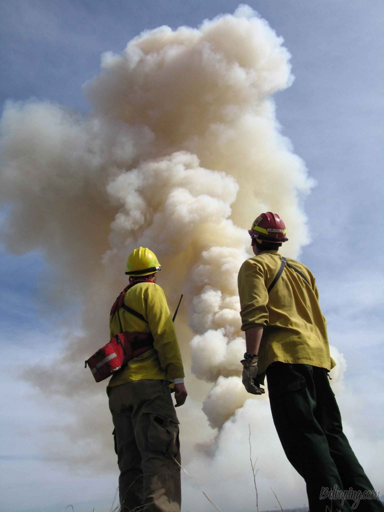 people-smoke-male-fire-men-stand-big-front-firefighters-atmosphere-of-earth-954399.jpg