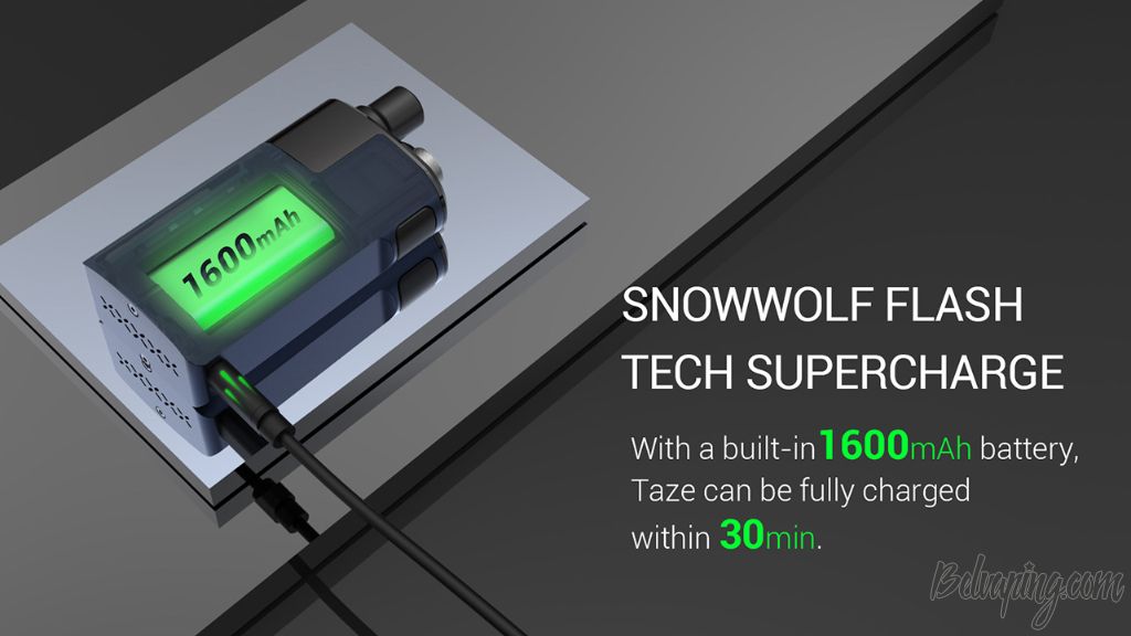 Snowwolf Taze Kit 4.jpg
