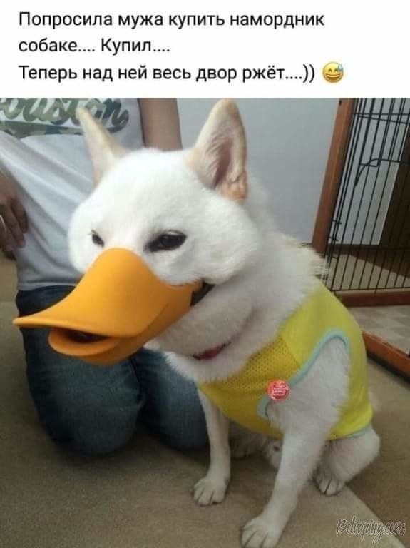 original (6).jpeg
