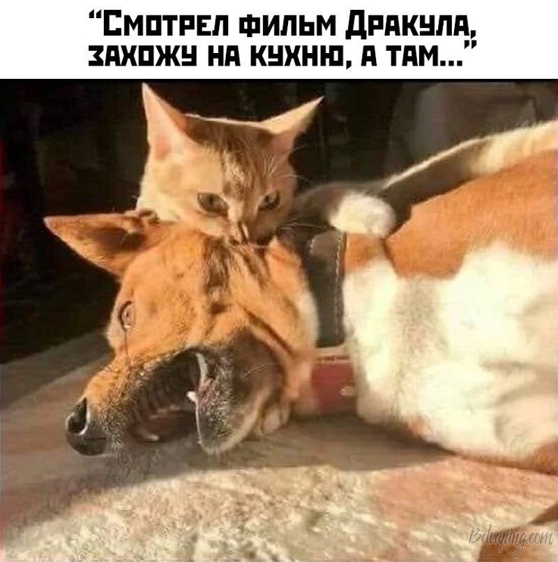 original (9).jpeg
