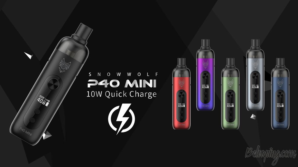 Snowwolf P40 Mini Kit (1).jpg