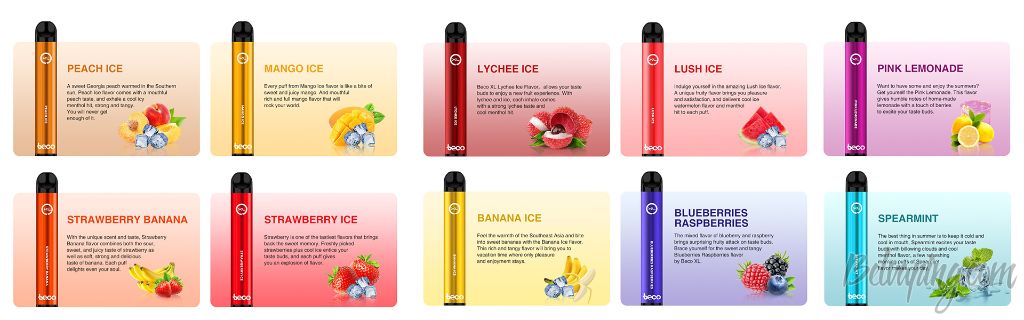 Vaptio Beco XL 3.jpg