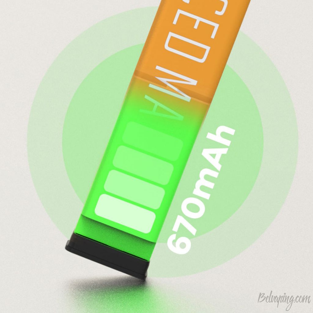 Vozol Bar Disposable Kit (2).jpg
