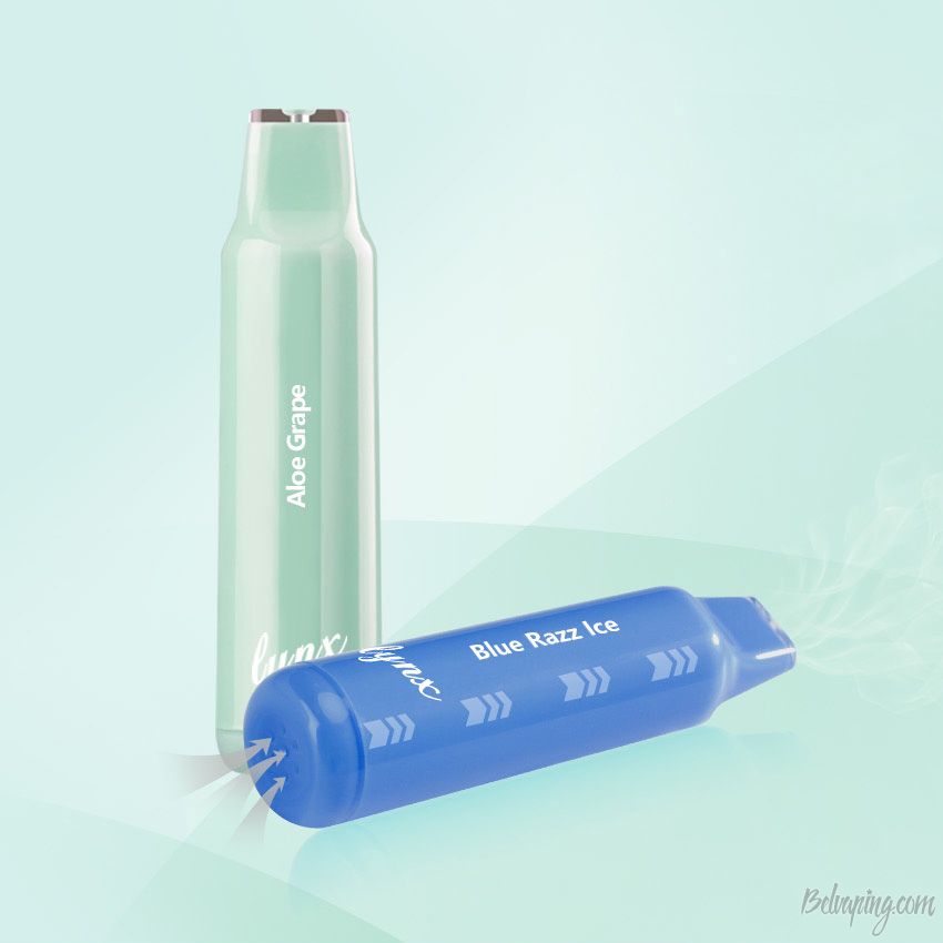 Advken Lynx 2500 3.jpg