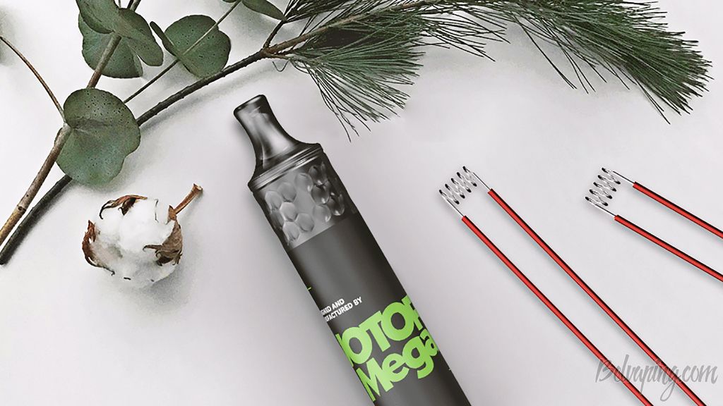 Wotofo Mega Vape Pen.jpg